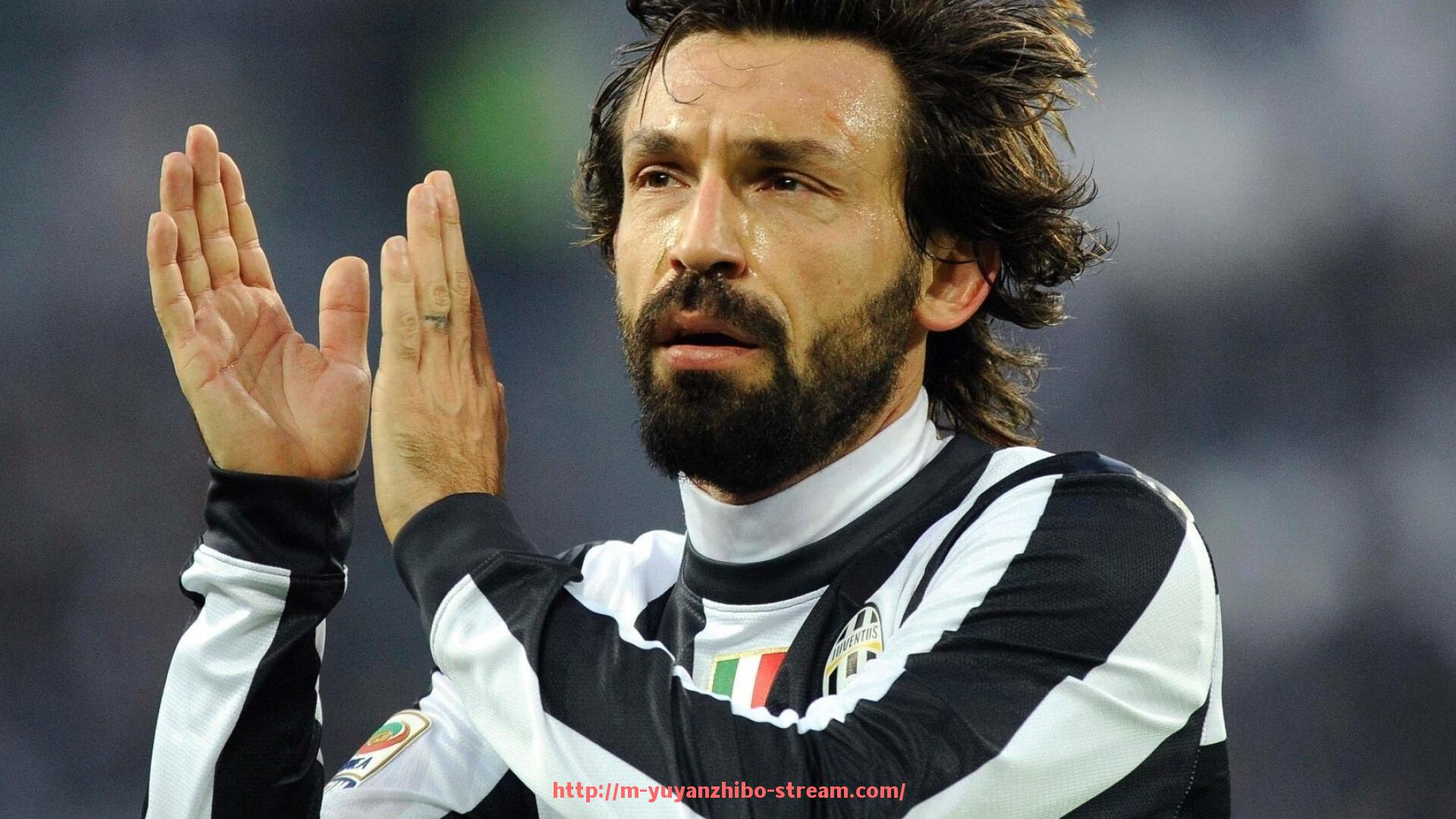 雨燕直播-德甲球队绰号大全及其体育竞技文化意义