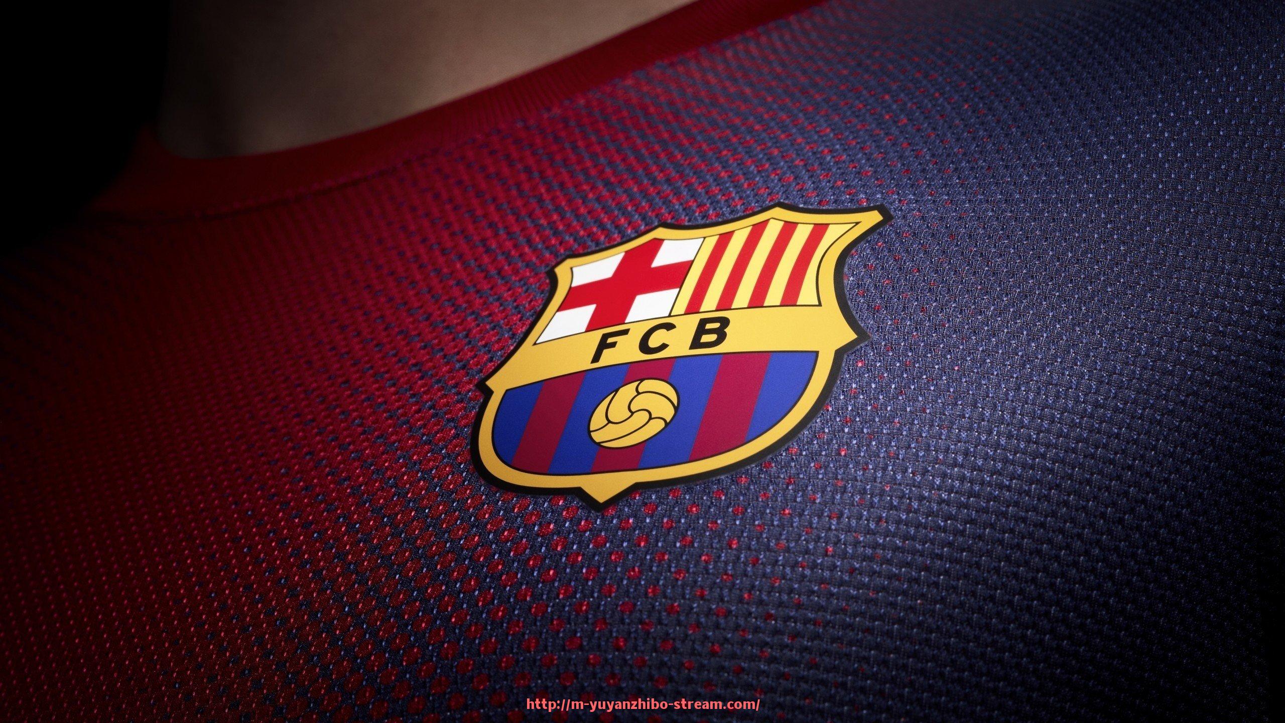 雨燕直播-世俱杯替补席队医职责划分与执行流程标准说明