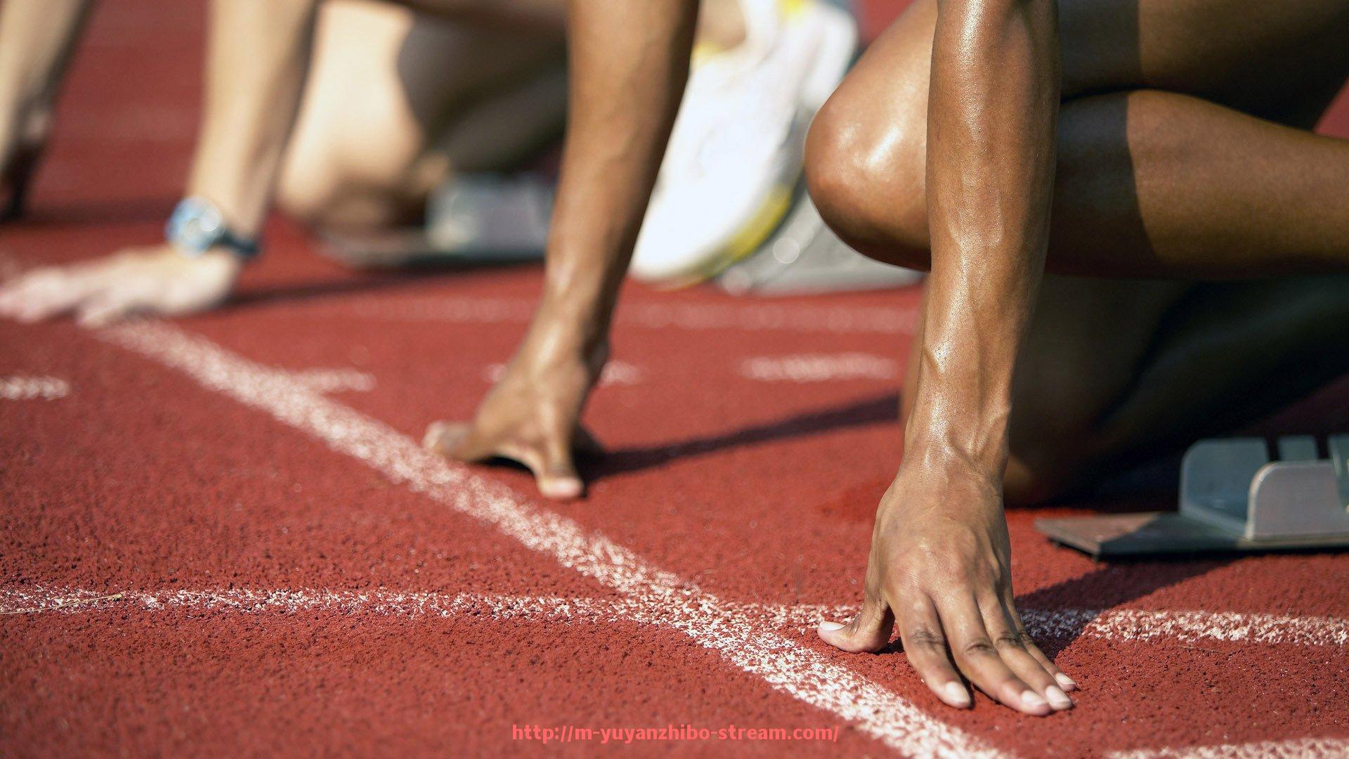 雨燕直播-世俱杯球员场上位置感评估:战术站位与空间判断能力解析